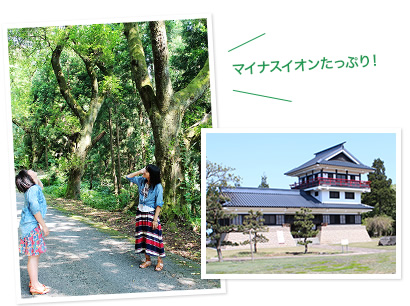 舟見城址館周辺　とやま森林浴の森で森林浴