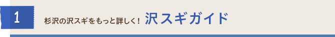 杉沢の沢スギをもっと詳しく！ 沢スギガイド