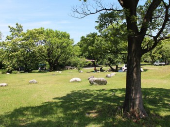 墓ノ木自然公園