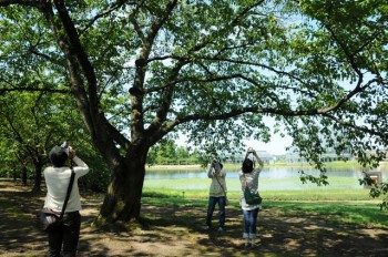 中央植物園での写真ワークショップ風景。光に透ける葉っぱをきれいに撮れるようになって、うれしそうな 女子達。