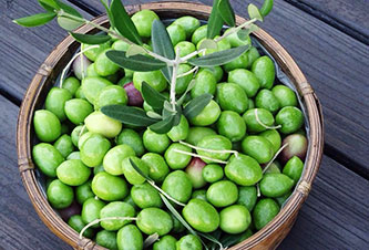 olive01